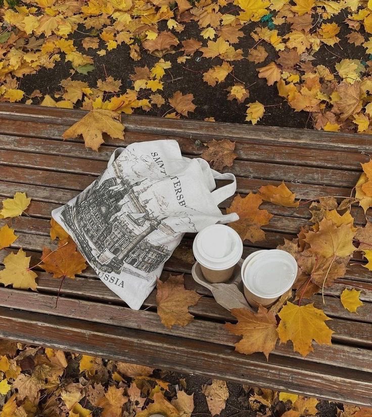 andreeafairy's tweet photo. autumn afternoons https://t.co/eg1BQgmPfd