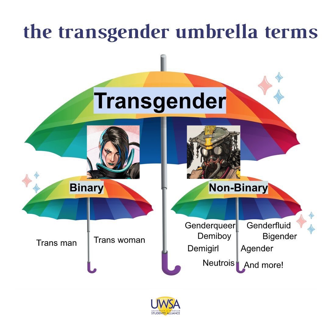 Tomek_NB's tweet photo. When talking about Catalyst, don't forget that she's actually the second transgender Apex Legend. Bloodhound is the first trans Legend and has been there since launch.
Catalyst is a binary trans woman and Bloodhound is a non-binary trans person. Hope this helps! #ApexLegends 🏳️‍⚧️ https://t.co/lp42evLmvj