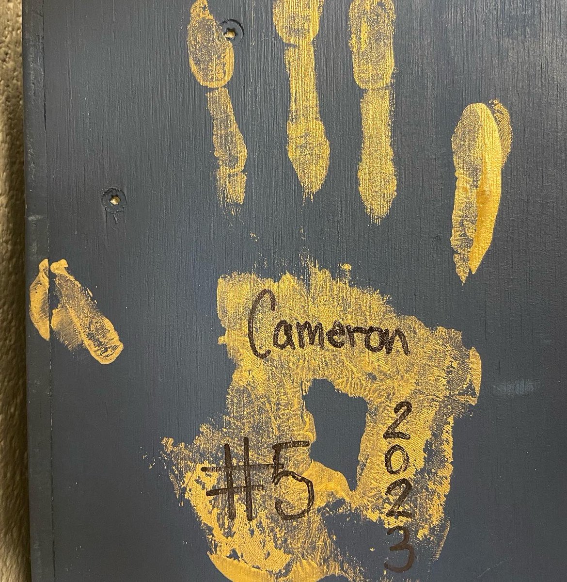 Wheeler Volleyball tweet media