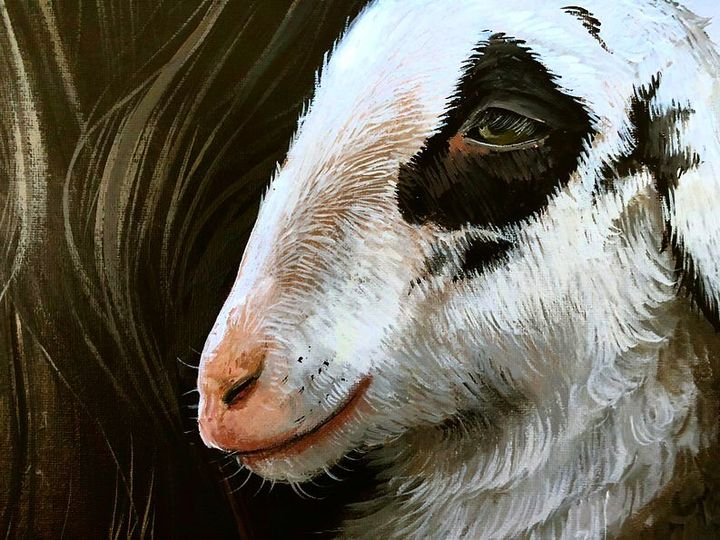 Jesus_Savior's tweet photo. I am the good shepherd: the good shepherd giveth his life for the sheep. John 10:11 #goodshepherd #layhislifedown #sheep #sheepfold #lamb #lambofGod #lambs #lovehispeople #Godlovesus #Godspromisesโฅ๏ธ https://t.co/FOiAl7ULzT
