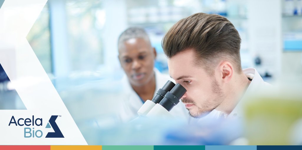 AcelaBioLab's tweet photo. At AcelaBio, we meet the growing clinical research demand for quality and efficiency in laboratory service. By complying with today's and tomorrow’s regulatory standards, we support the development of safe and effective patient therapies. Learn more at https://t.co/OtR2NgBqI0 https://t.co/koJinpZvQE