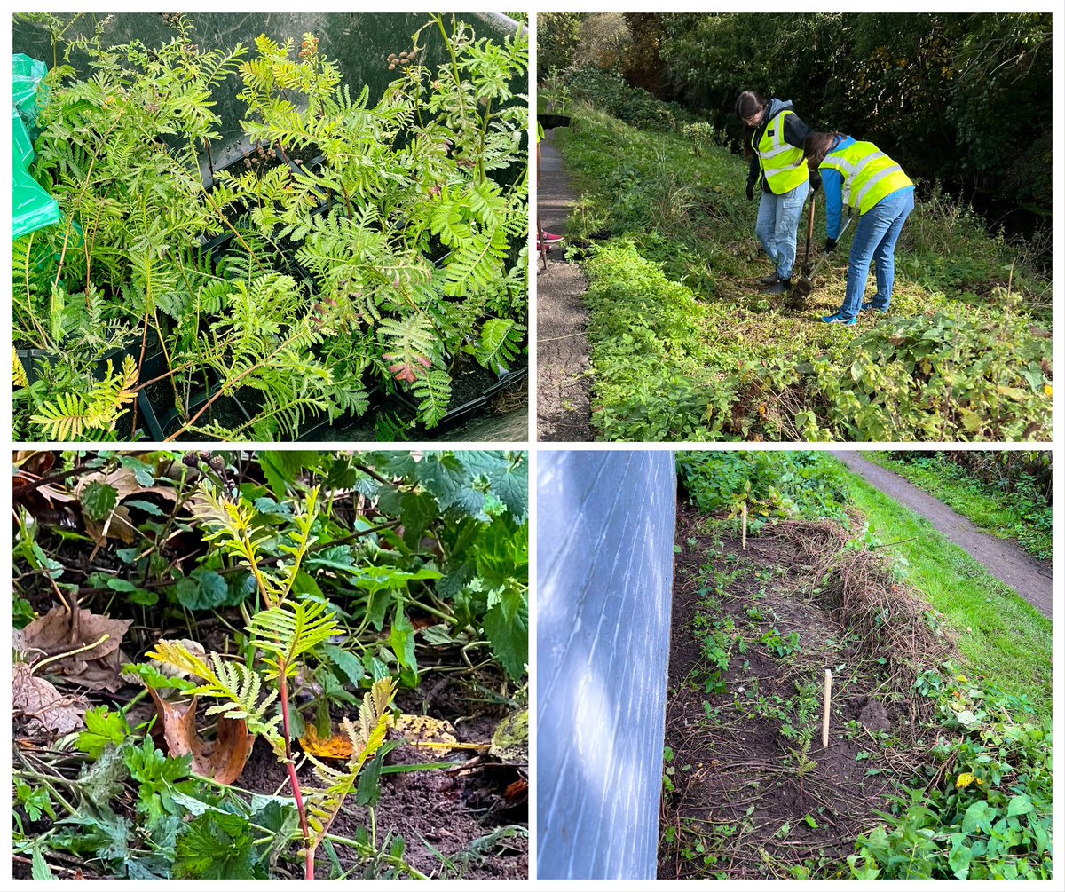 Community Action for Nature tweet media