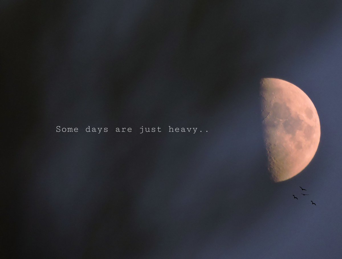 Divanshi Chauhan (@_mountainbird_) on Twitter photo 