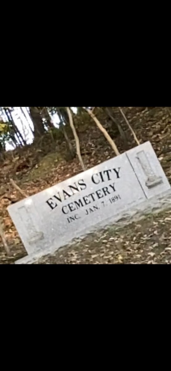 Amy 💚 tweet media