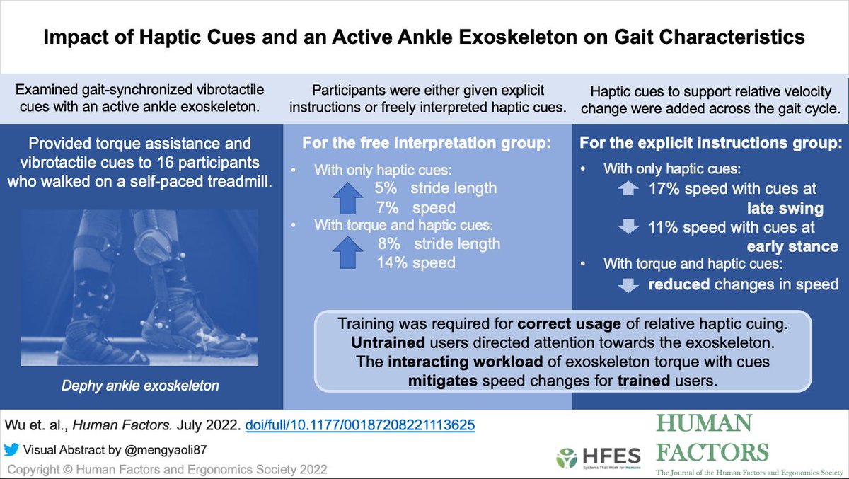 Impact of Haptic Cues and an Active Ankle Exoskeleton on Gait Characteristics: journals.sagepub.com/doi/full/10.11… @LeiaStirling