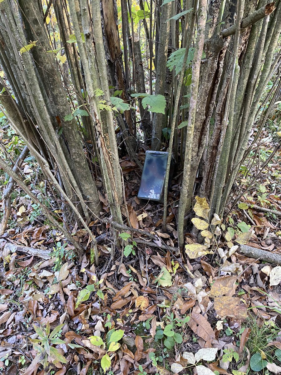 Amy 💚 tweet media