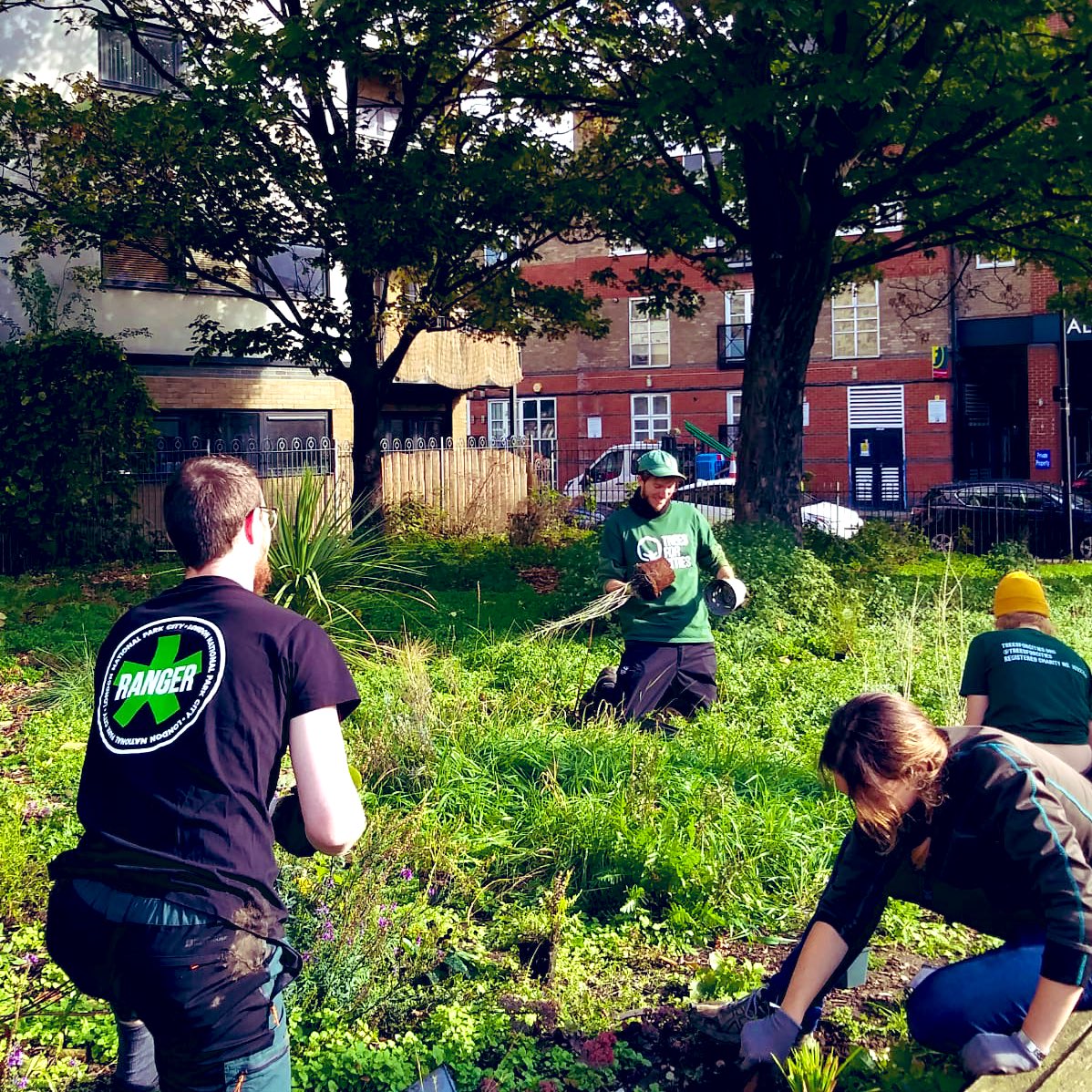 ecoexistUK's tweet photo. Planting Squad 🌱 

500 herbaceous perennials planted and mulched. All in a sunny day’s work at Furze Green with @TreesforCities x @LondonNPC x @GGTowerHamlets 😎 https://t.co/RGg6Rjyb5t