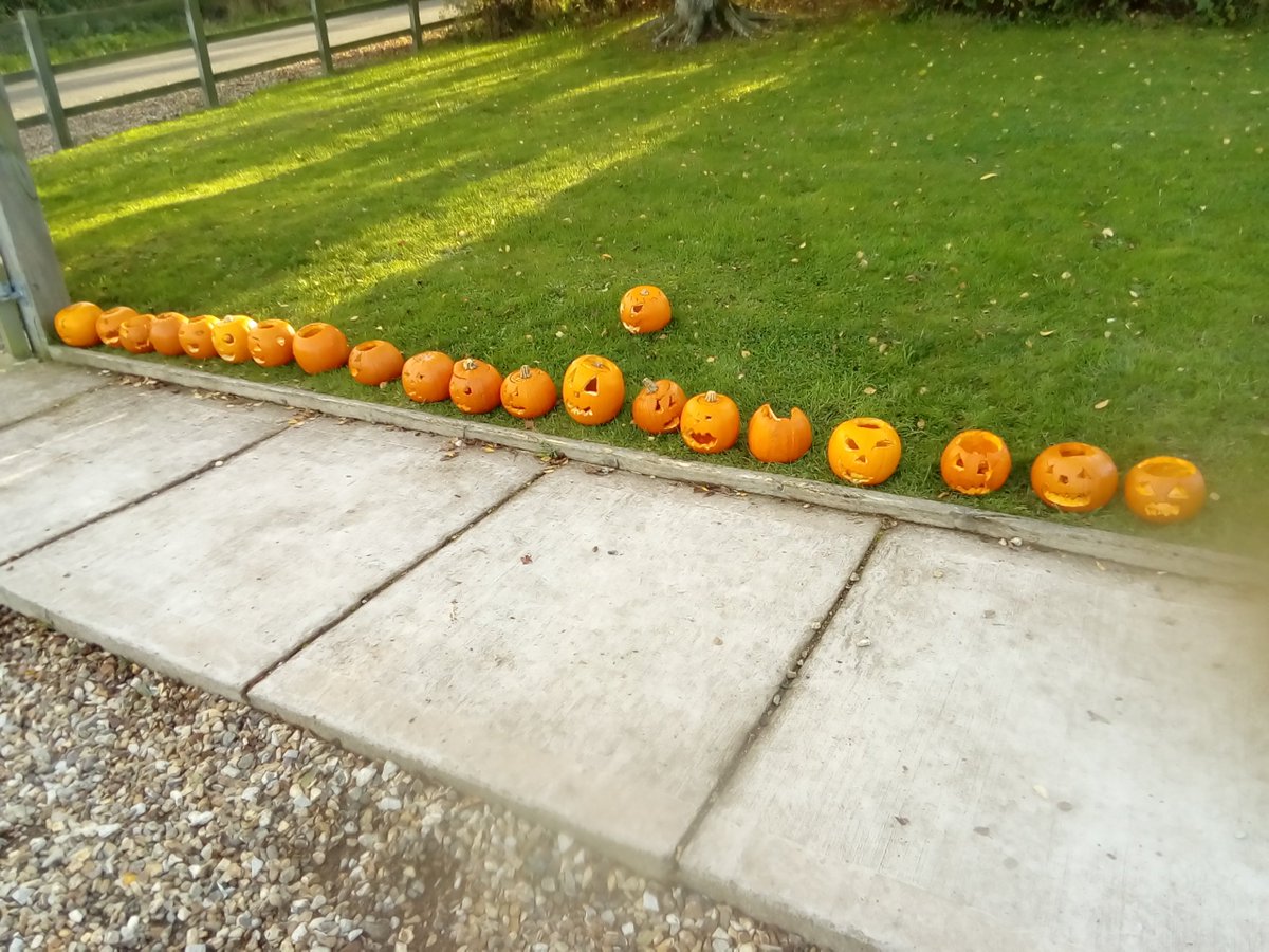 MissKWilkes's tweet photo. @MrJonesYPS @TheBrigHouse @yardleyprimary 
🎤🎶21 orange pumpkins sitting on the grass🎶🎤🎵 https://t.co/eZgKSOz2hJ