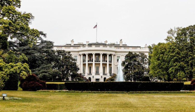 DomainsOrder's tweet photo. Imagine all the creative ways you could use https://t.co/ZiyixPzcmR &amp; its affiliated .net, .org, &amp; .info domains  - Fundraising, Advocacy, Information dissemination, and more!

Please contact eo@executiveorder.com for further discussion. 
https://t.co/qPndOck338 https://t.co/V9KaVVEklX