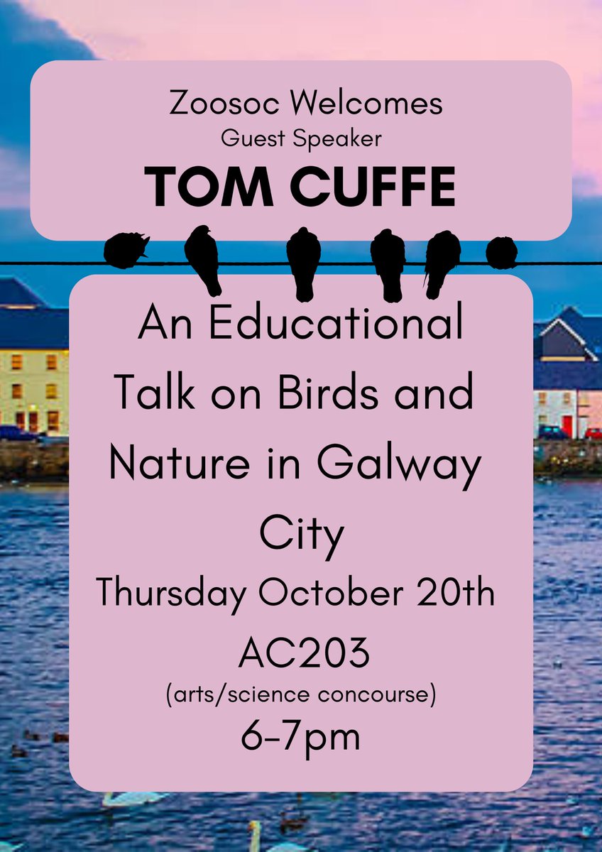ZooSocGalway's tweet photo. EVENT ALERRRTTT! ATTENTION BIRD LOVERS 🦜🦢🦆🐧💗
Zoosoc are so excited to welcome Tom Cuffe to tell us about all the birds and nature in Galway City! Definitely a great way to learn about the animals we see everyday, it is on at 6pm this thursday in AC203! Hope to see ye there https://t.co/HPatWDtT3s