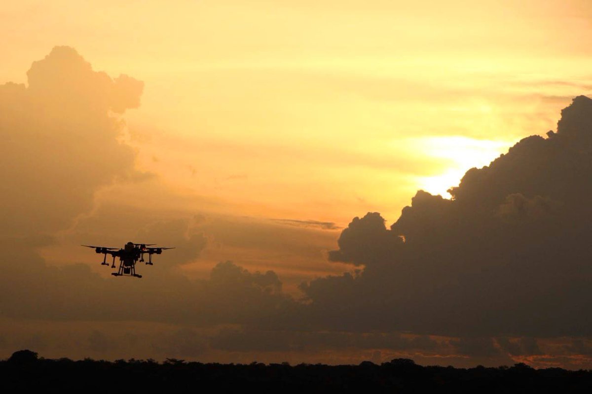 aic_vzla's tweet photo. ¿Sabías que somos una empresa que desarrolla y gestiona proyectos agrícolas con tecnología 4.0?

Gestionamos alrededor de 200 hectáreas de riego y esperamos lograr una producción de maíz de 15 toneladas por hectárea. 

¡Somos tu mejor aliado global en el agro! 🌱🫶 https://t.co/FCsSrrEZ2l
