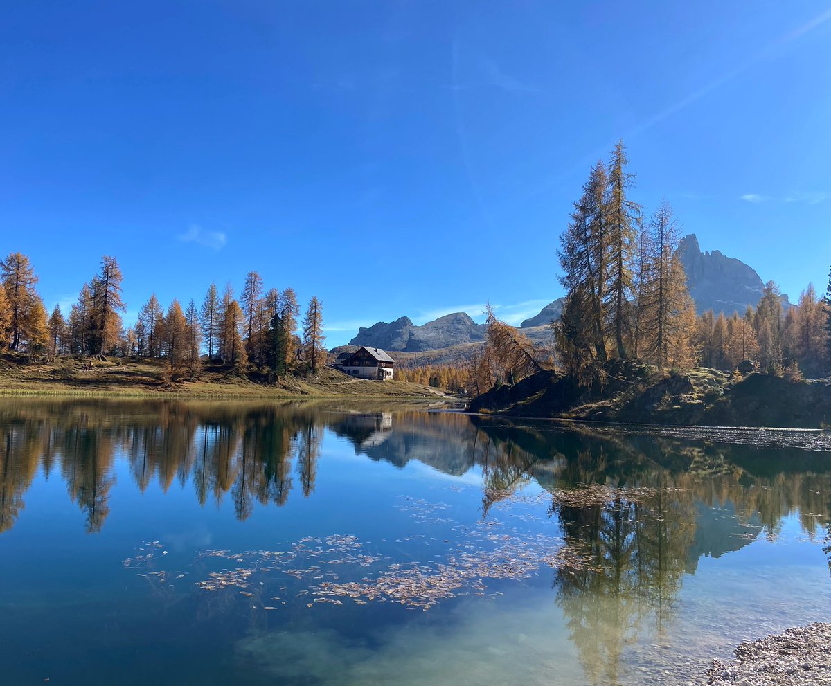 morellato13's tweet photo. #mondaymood #crodadalago #forcellaambrizzola #autunno #mila🤎💙🧡 @DolomitesUNESCO @veneto_ @cortinadolomiti @crodadalago https://t.co/qNLSTJfOjB