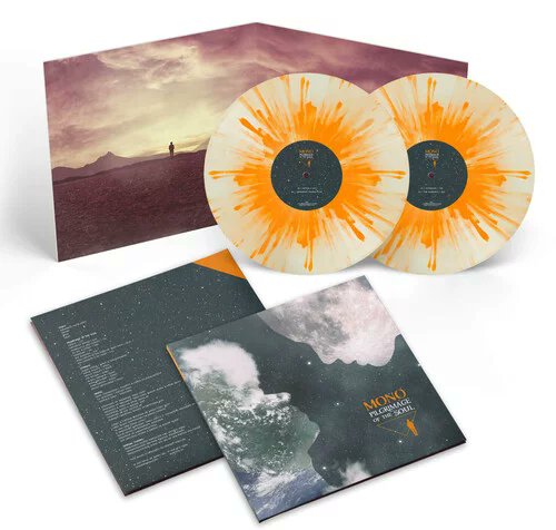 Best Vinyl Deal tweet media