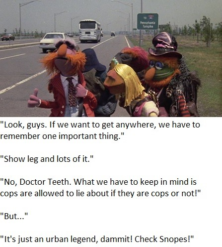 Lots47's tweet photo. #bertstrips #doctorteeth #muppetmemes #acab https://t.co/2vo3GTb1gD