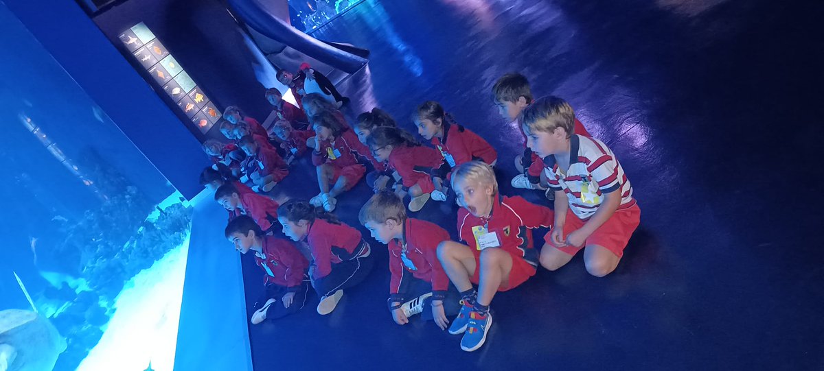 ColegiosElValle's tweet photo. Hoy hemos disfrutado mucho en nuestra visita al #AtlantisAquarium 🦈📸
#ColegiosElValle #SalidasCulturales #EducaciónInfantil #3INFE #SCH #ElValle https://t.co/CpXm7CmSNr