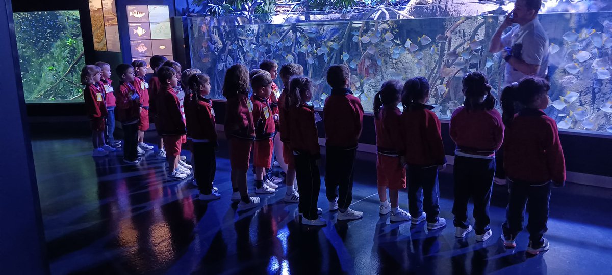 ColegiosElValle's tweet photo. Hoy hemos disfrutado mucho en nuestra visita al #AtlantisAquarium 🦈📸
#ColegiosElValle #SalidasCulturales #EducaciónInfantil #3INFE #SCH #ElValle https://t.co/CpXm7CmSNr
