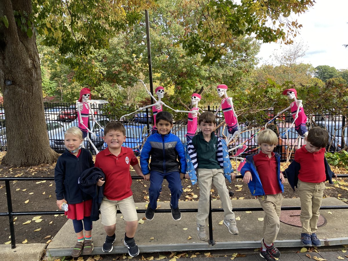 SSSAS_Science's tweet photo. Kindergarten zoologists are up close with animals at the National Zoo this morning! What beautiful fall weather, and what a sheer delight to meet Lucy the Gorilla, Xiao Qi Ji the panda cub, and Nikita the Amur tiger! https://t.co/x3psOIF9vJ