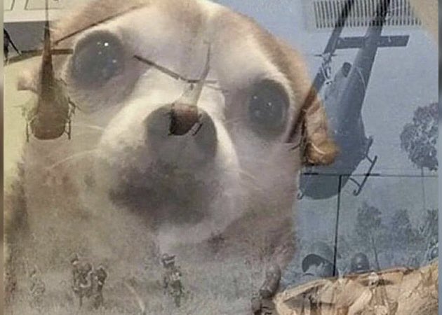 Max Duggan seeing Felix again