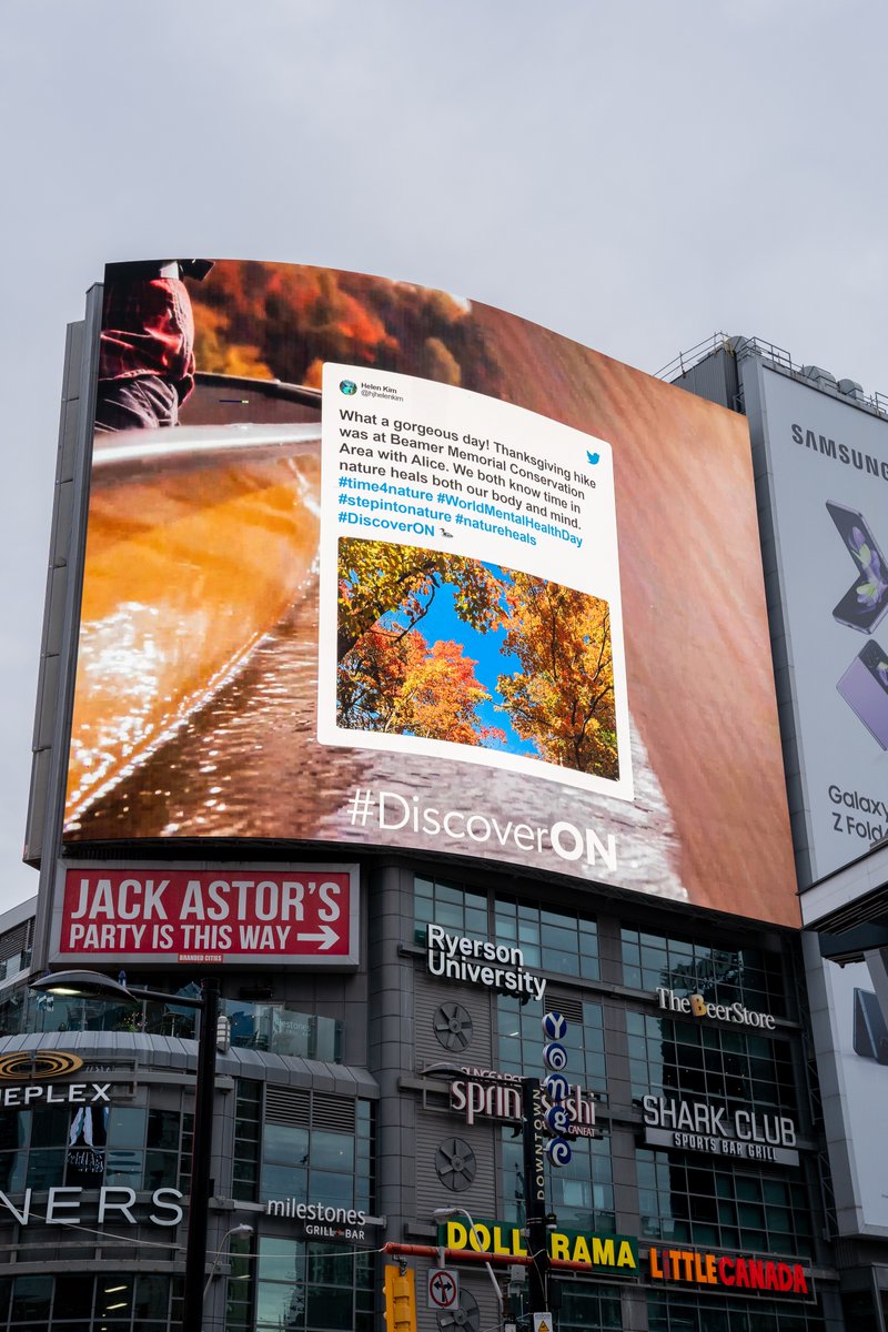 Destination Ontario tweet media