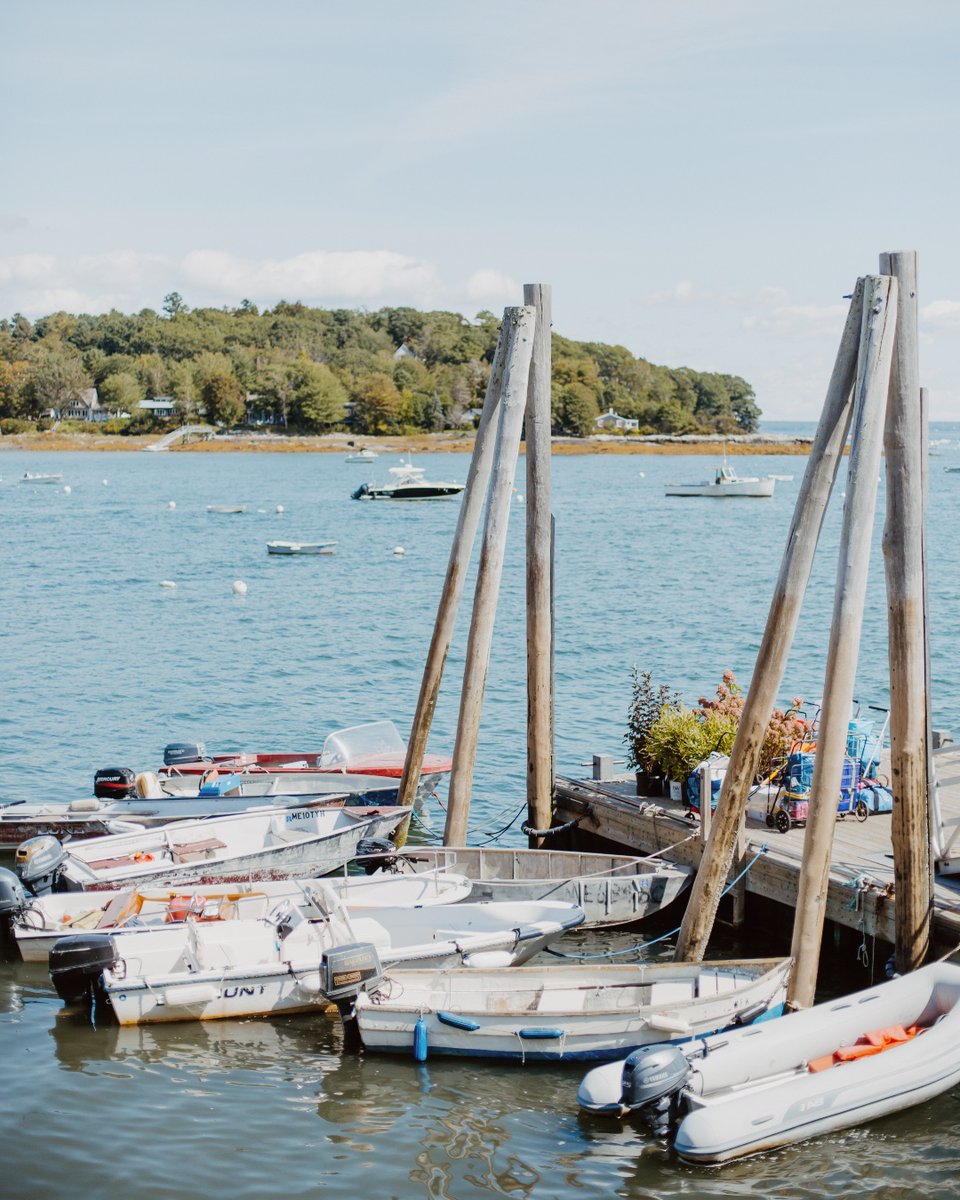 ForePoints's tweet photo. Looking for your 2023 season day trip? Check out @chebeagueislandinn!

Credit: @carneyabbottphoto https://t.co/irEi4xKG0f