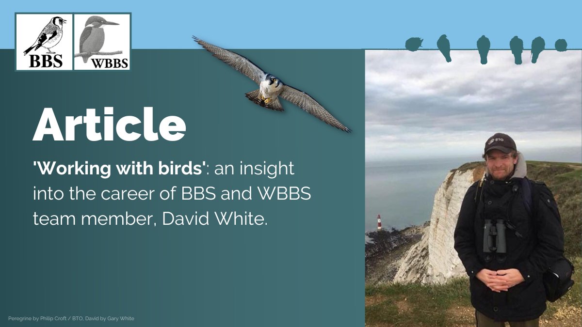 The latest edition of the CJS Focus from @CountrysideNews features @BBS_birds' own @davidwhite554! David shares his experiences of working in the conservation sector... from studying Pure & Applied Philosophy to landing @_BTO. Read it here: countryside-jobs.com/cjs-focus/curr…