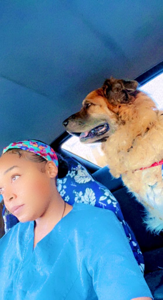 P_O_P_VetTech's tweet photo. Paradyz &amp; Remí Martín #category #offgaurd lol 

No but fr baby boy goin in for a check up #Vet #timeforacheckup https://t.co/5nikZx3bU0