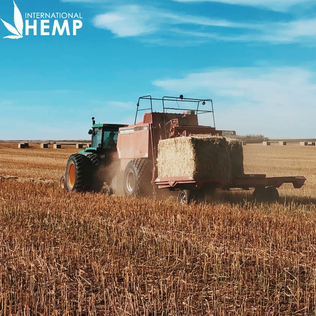 International Hemp tweet media