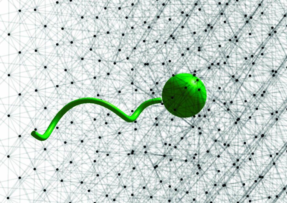 TheSIAMNews's tweet photo. Lisa Fauci’s Past President’s Address at #SIAMAN22 focused on problems in microscopic #biological systems related to fibers, fluids, and #flagella. @DrMRFrancis overviews her talk on #simulations of #microfluid environments in SIAM News. Read more: https://t.co/jM40P2OuNr https://t.co/i0lHbJGVgD