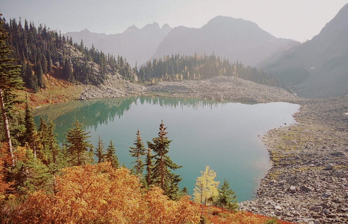 JoseePearlson's tweet photo. Fall colors on film 🎞️ https://t.co/T9EzeSyzjL