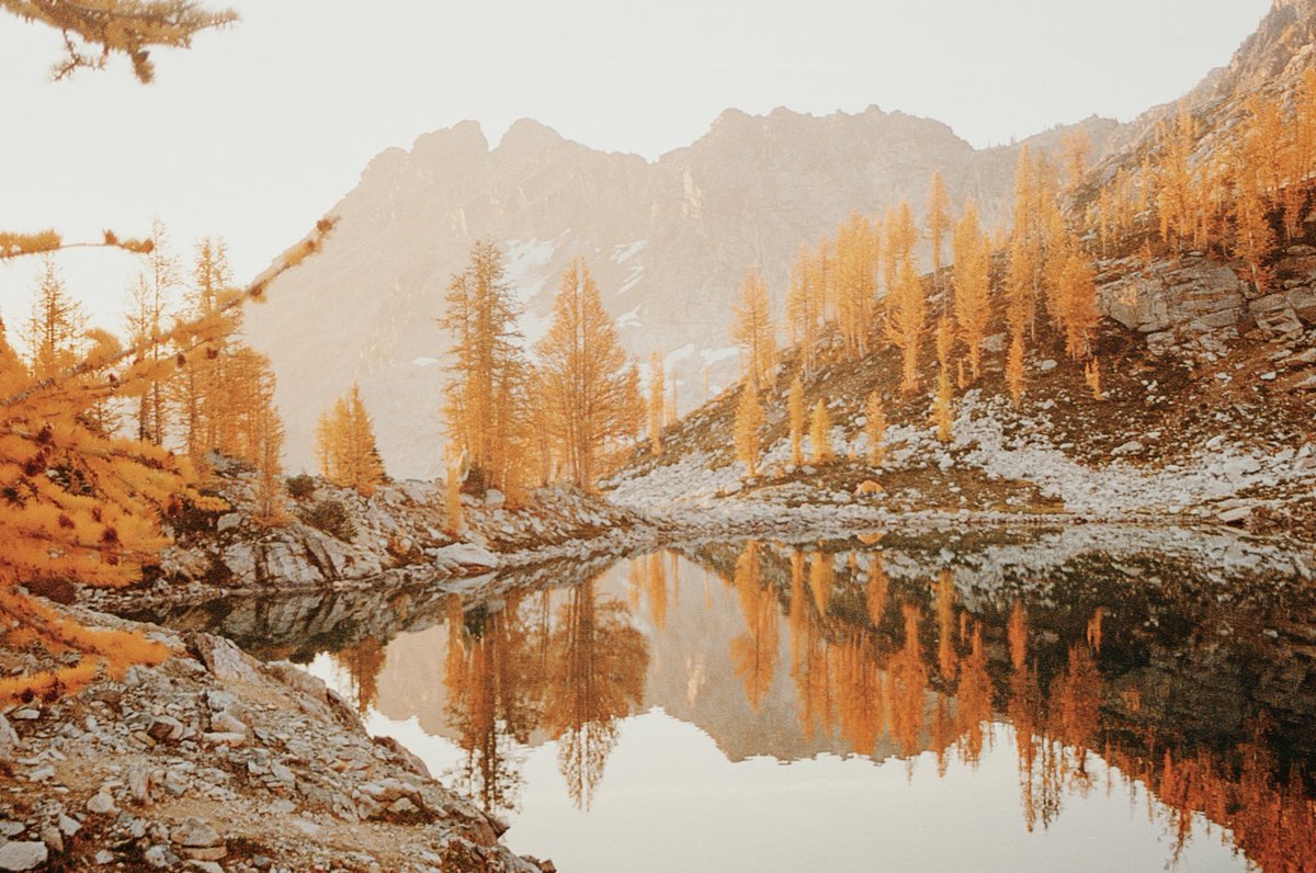 JoseePearlson's tweet photo. Fall colors on film 🎞️ https://t.co/T9EzeSyzjL