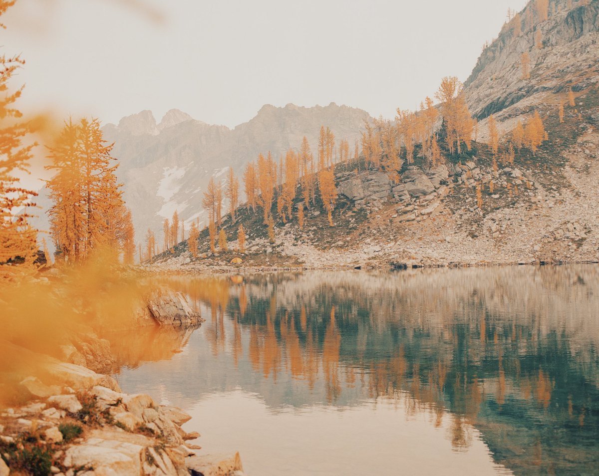 JoseePearlson's tweet photo. Fall colors on film 🎞️ https://t.co/T9EzeSyzjL