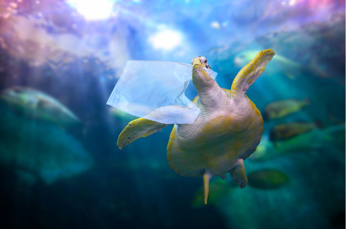 environmentca's tweet photo. Hey Canadians – we need your help to end #PlasticPollution! Be a part of the solution as Canada’s negotiators work to develop the first agreement to end plastic pollution globally.

Have your say 👉 https://t.co/3No2rY5Uyt https://t.co/9Yu4XXG87X
