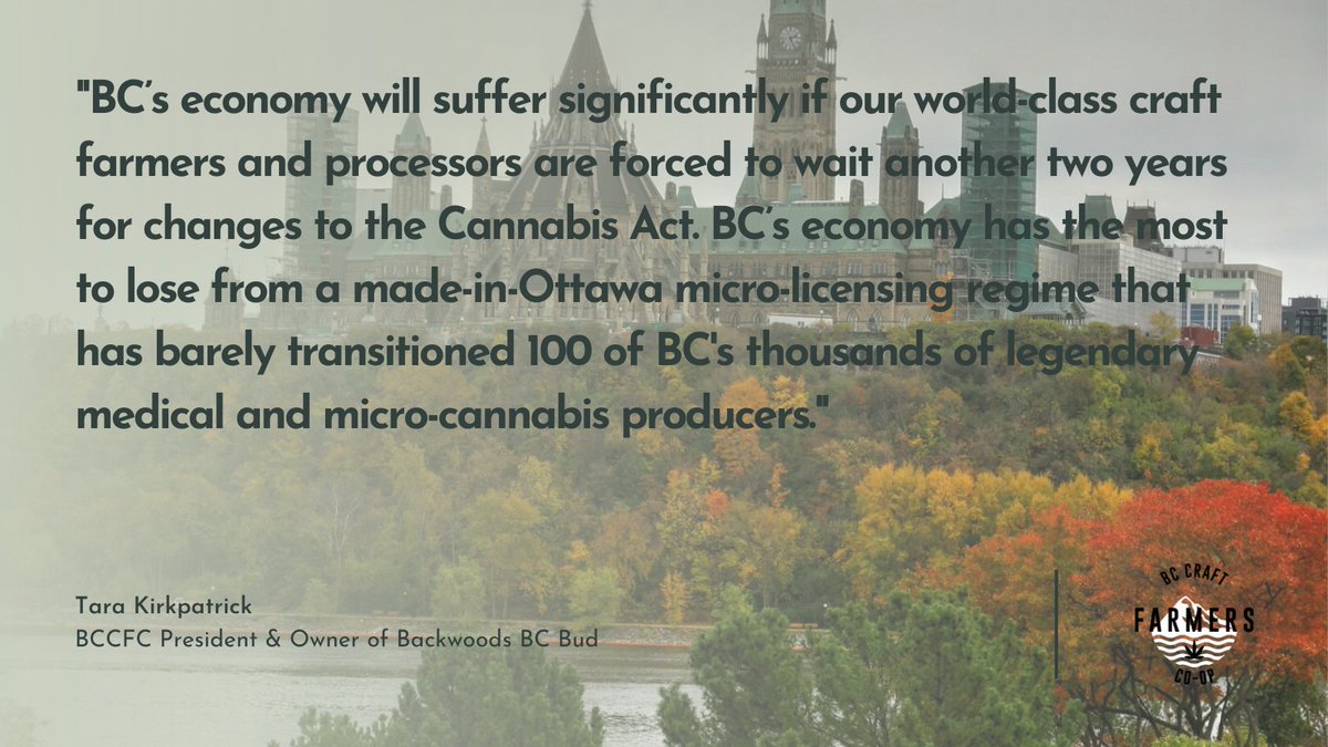 bccraftcoop's tweet photo. What are the feds going to do as the #CannabisAct review is underway over the next 18 months to address URGENT challenges facing the #cannabis sector? David Hurford is on Parliament Hill today &amp; tomorrow to find out. Stay tuned. #BCCraftFarmers

@jyduclos @Carolyn_Bennett https://t.co/JjcFXB1cyZ