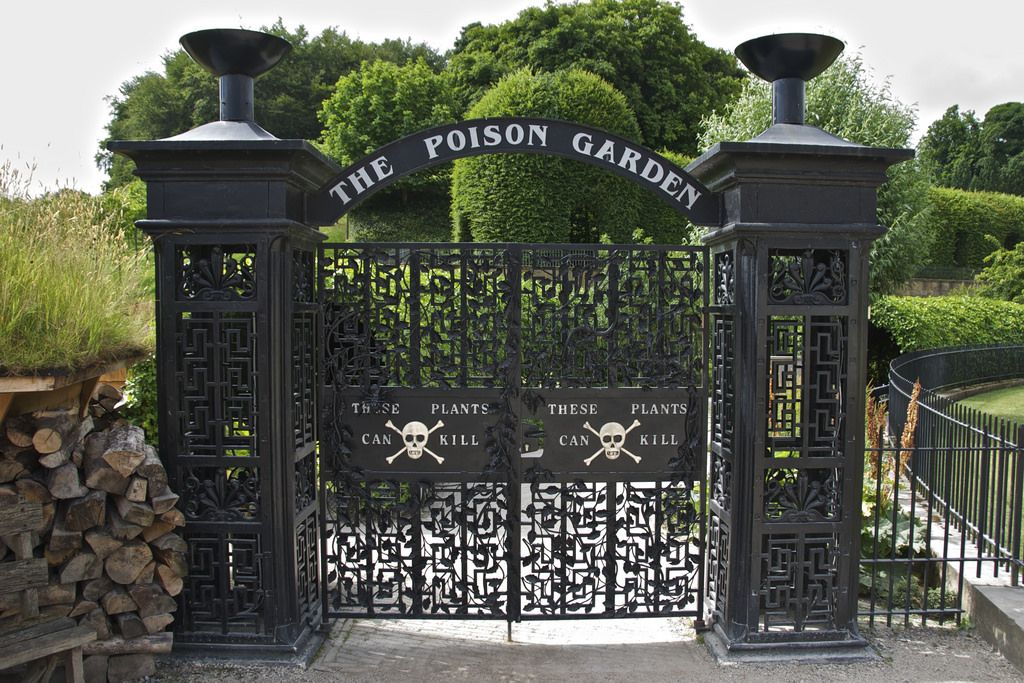 Not for the faint of heart… The gates of Alnwick Castle’s Poison Garden await those brave enough to pass through!☠️

#tripr #travel #alnwickpoisongarden #spookyseason