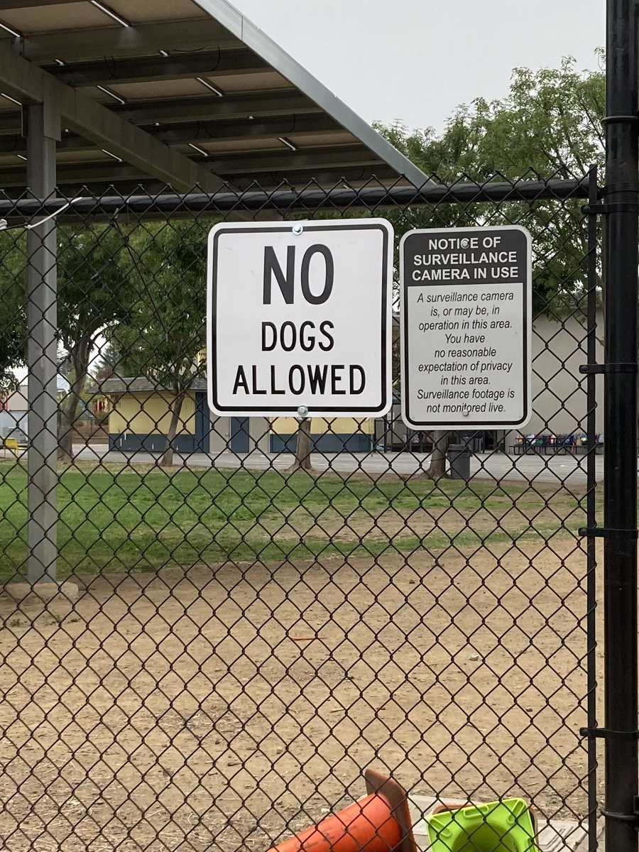 msortosjsu's tweet photo. I saw this sign as I was dropping off my younger cousin at school this past week. The school had put up this sign because people kept bringing their dogs to school when there were children present, and they did not pick up after themselves.... #Ling107f22 (1/2) https://t.co/pfQ0IqlOVU