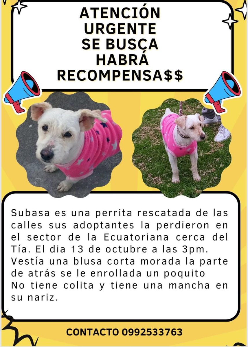 baegec1974's tweet photo. MÁXIMA DIFUSIÓN NECESITAMOS ENCONTRARLE DEBE ESTAR ASUSTADA ❤️🐶😟,@MANimalistas,@PAEecuador,@RescateAnimalEC,@AlertaMePerdi,@lizzfarfan,@chefestebantv,@karinasarmiento,@LoroHomero https://t.co/j2CioqGEtf