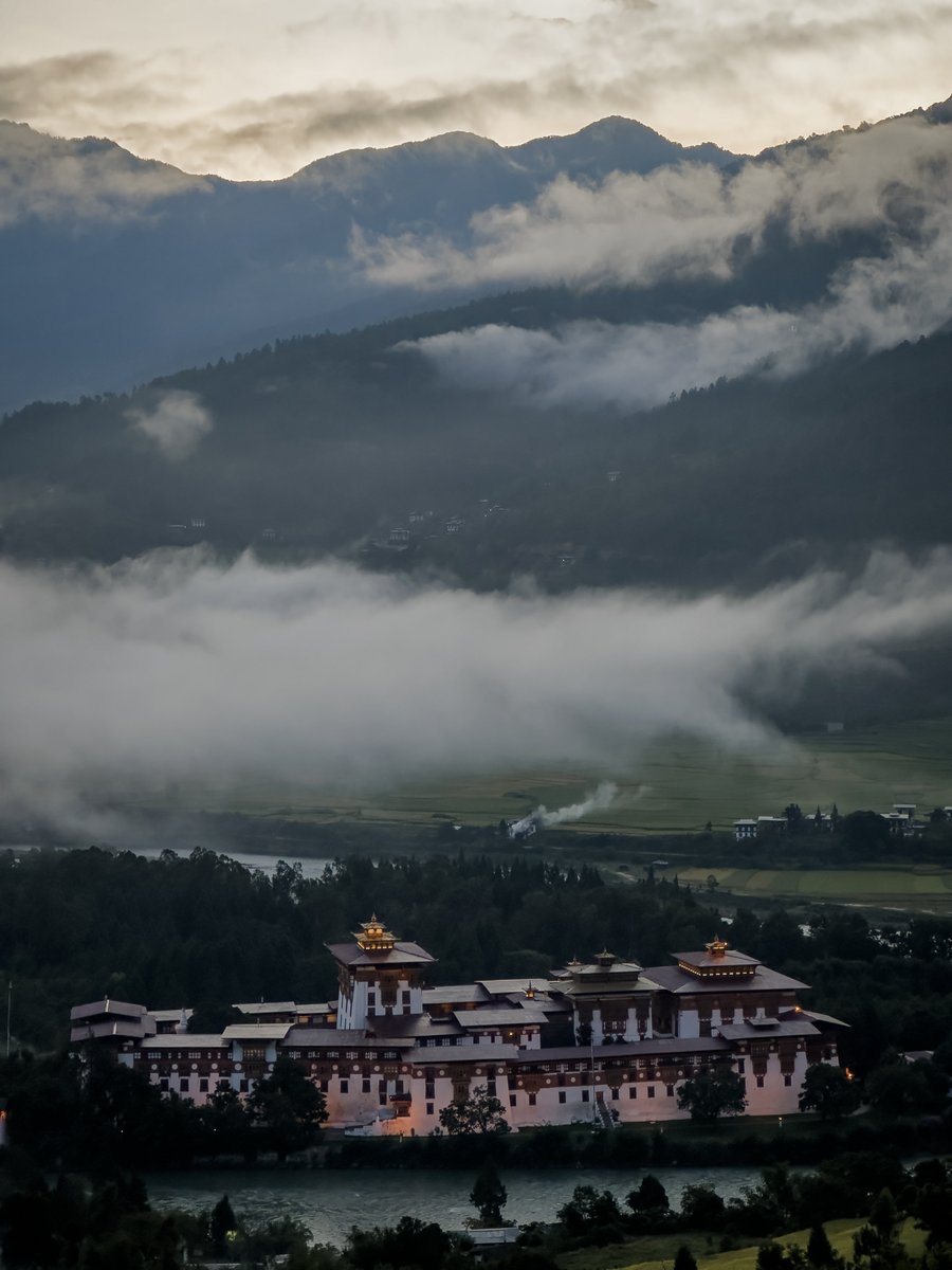 Sebastiaan de With tweet media