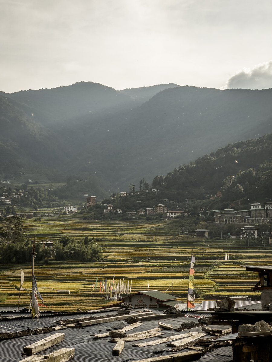 Sebastiaan de With tweet media