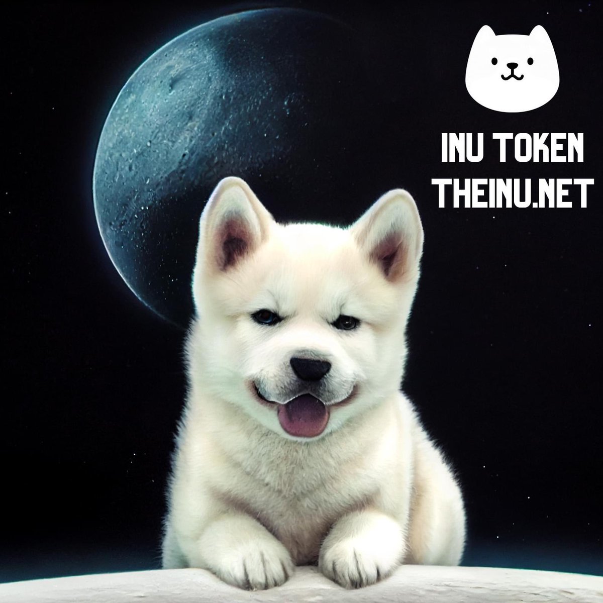 INU. tweet media
