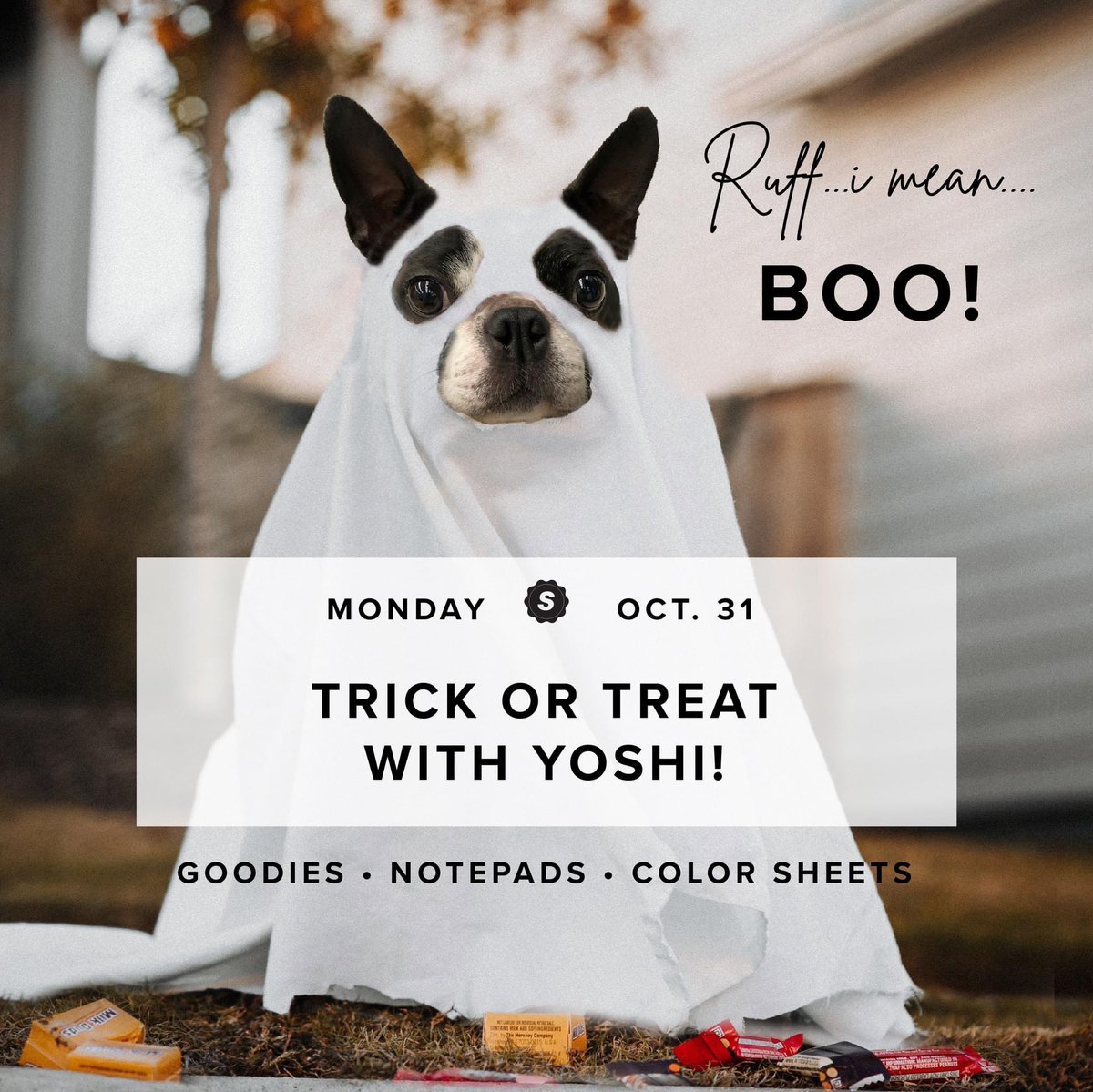 SimpsonsPrint's tweet photo. Bow wow wow yippy yo yippy yay...Halloween is only✌️ weeks away!!👻Yoshi is very excited to have you come check out his eerie-sistible costume and share a goodie bag with you! 🐶
So be sure to stop in and see him and our Simpsons Printing Team all day Monday, October 31st!🎃🦇🧛‍♂️ https://t.co/q6pJDZtVvS