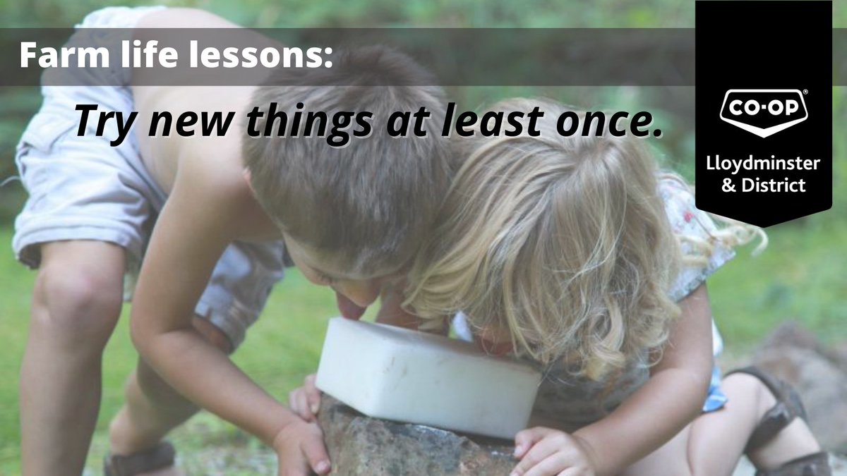 LloydCoop's tweet photo. If there is anything we have learned from our farmers, it is that a little bit of dirt never hurts anyone.
#yllcoop #lloymdinster #neilburg #lashburn #marwayne #farmer #farming #farmlife #lifelessons https://t.co/ieY2vp3riG