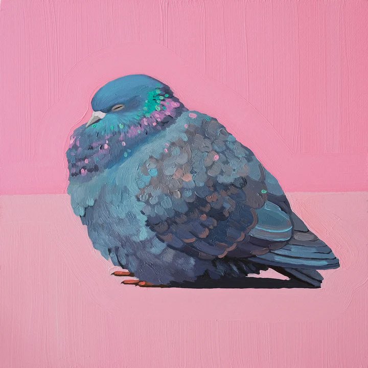leahgardnerart's tweet image. temperatures dropping = puffy pigeon season ❄️ 🐦