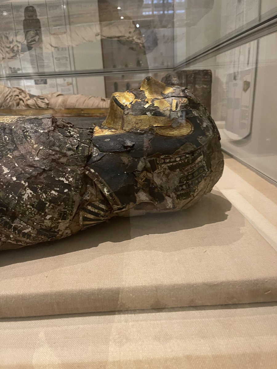 Jonathon Lawson tweet media