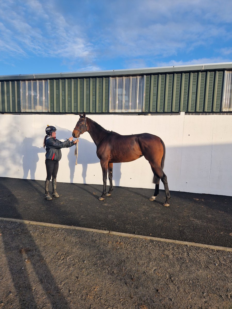 Apollo Horse Racing Club tweet media