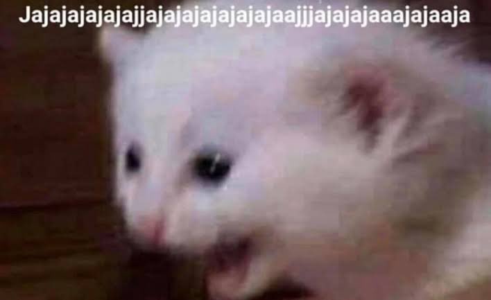 Guarromantico_'s tweet photo. Mi amix que siempre me hace reír por todo: Hola

Yo: https://t.co/SezSXFPR4S