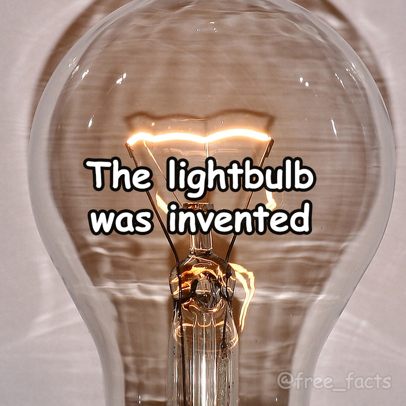 FREE FACTS (@free_facts) on Twitter photo 