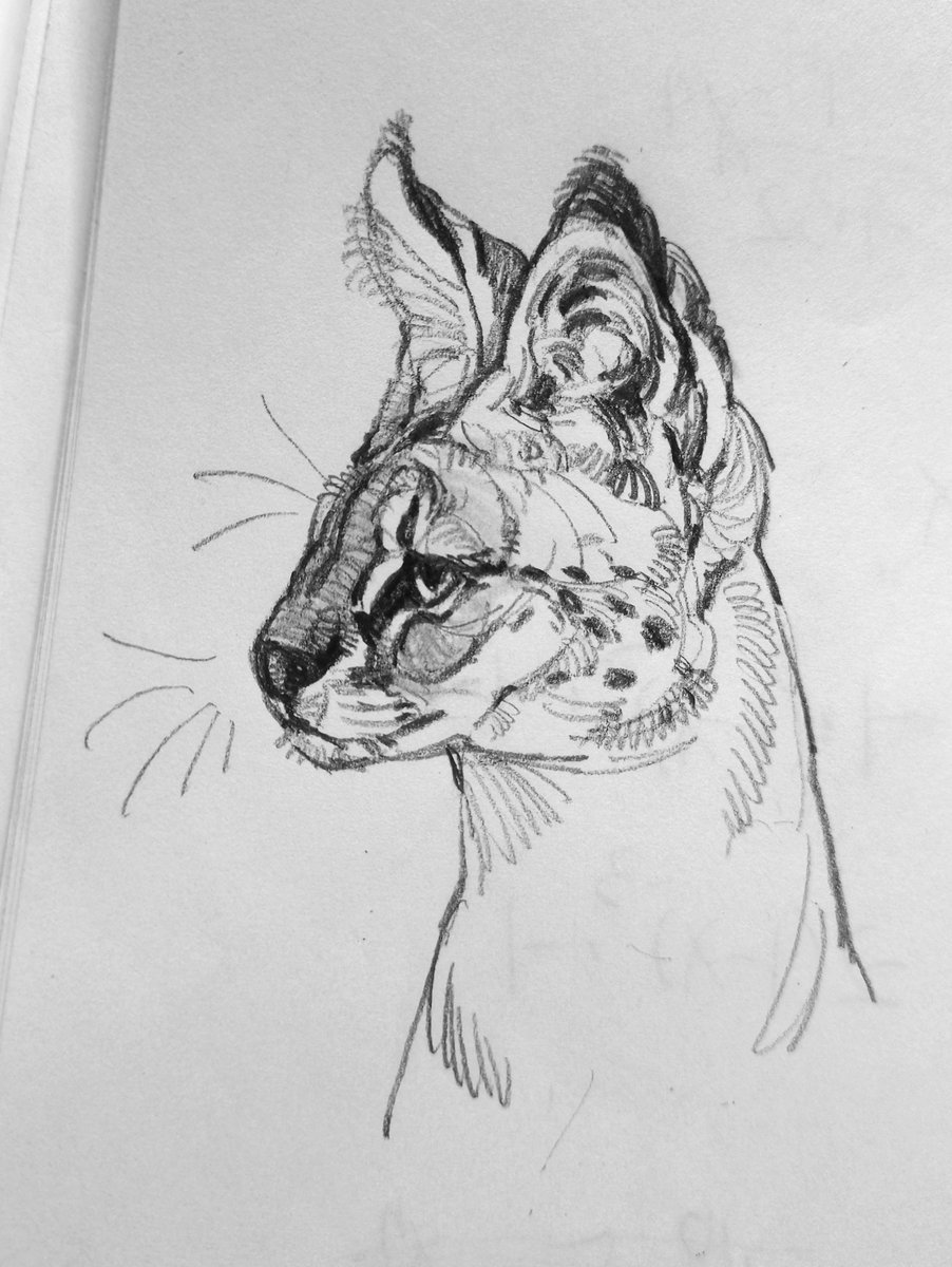 极限3mins
#drawing #sketches