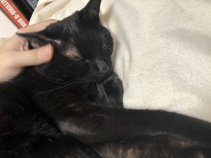 ほんま自分の生活にテルがいて良かったなあ 