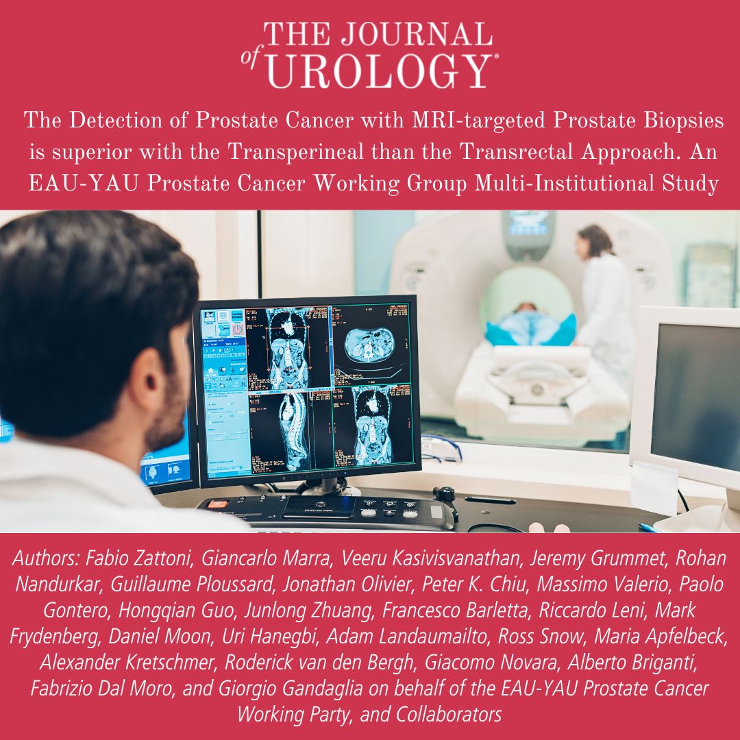 'Our aim was to evaluate whether transperineal MRI-targeted prostate biopsy may improve the detection of clinically significant prostate cancer, defined as International Society of Urological Pathology ≥2, in comparison to transrectal TBx.' bit.ly/3VkdfMW