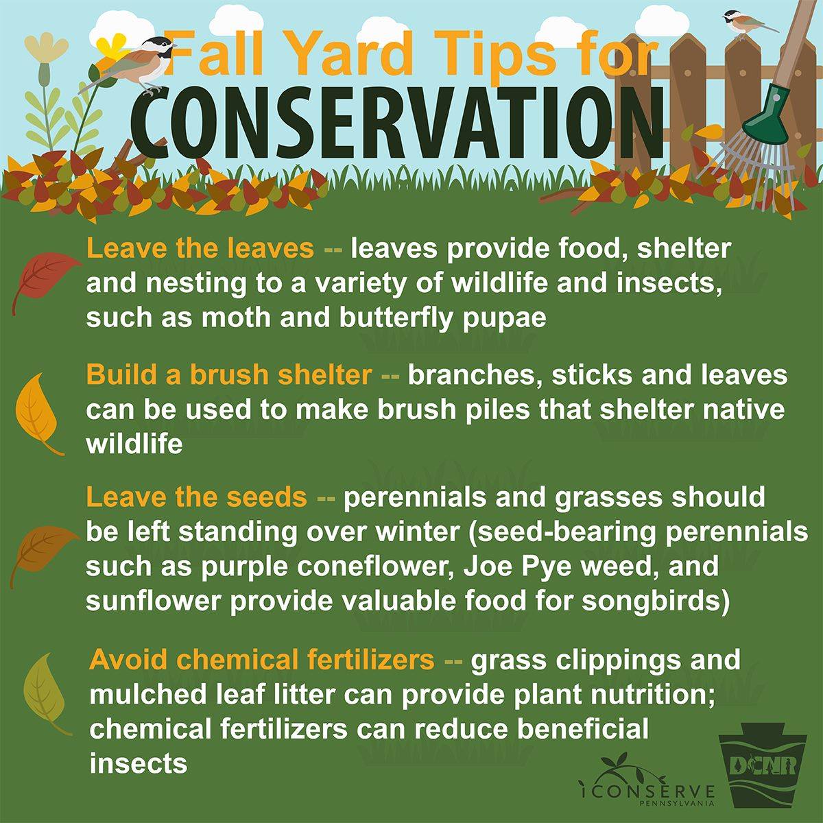 There’s no need to rake up all the leaves in your yard! 🍃🍂 Leaving some on the ground is not only good for wildlife, but your yard and garden as well.

Check out some more fall yard conservation tips ⤵ #iConservePA